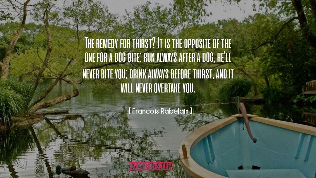 Death Will Overtake You quotes by Francois Rabelais