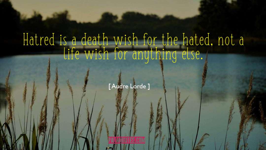 Death Wish quotes by Audre Lorde