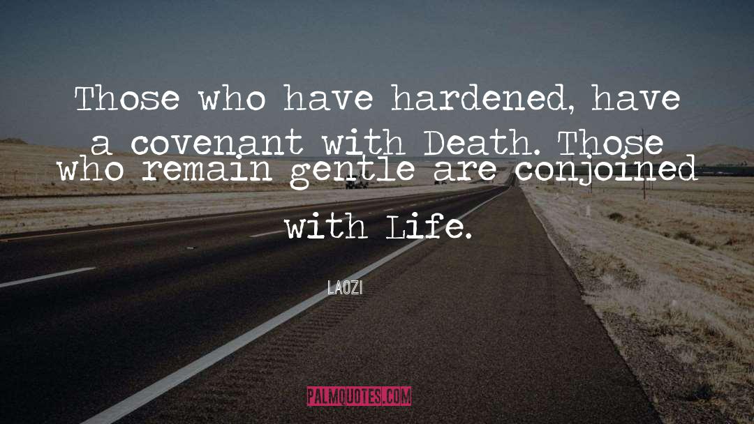 Death With Dignity quotes by Laozi