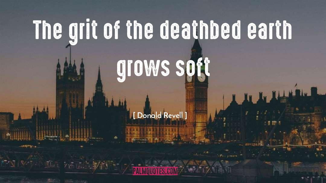 Deathbed quotes by Donald Revell