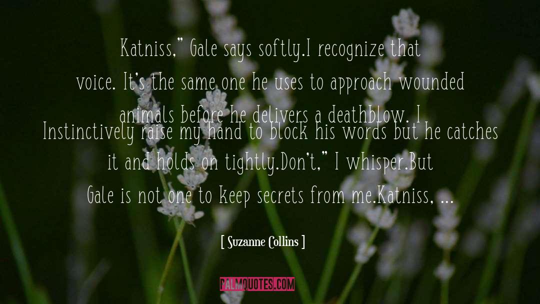 Deathblow quotes by Suzanne Collins