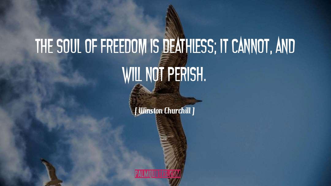 Deathless quotes by Winston Churchill