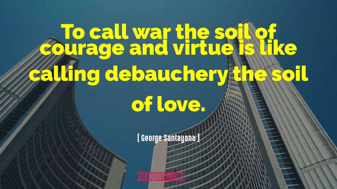 Debauchery quotes by George Santayana