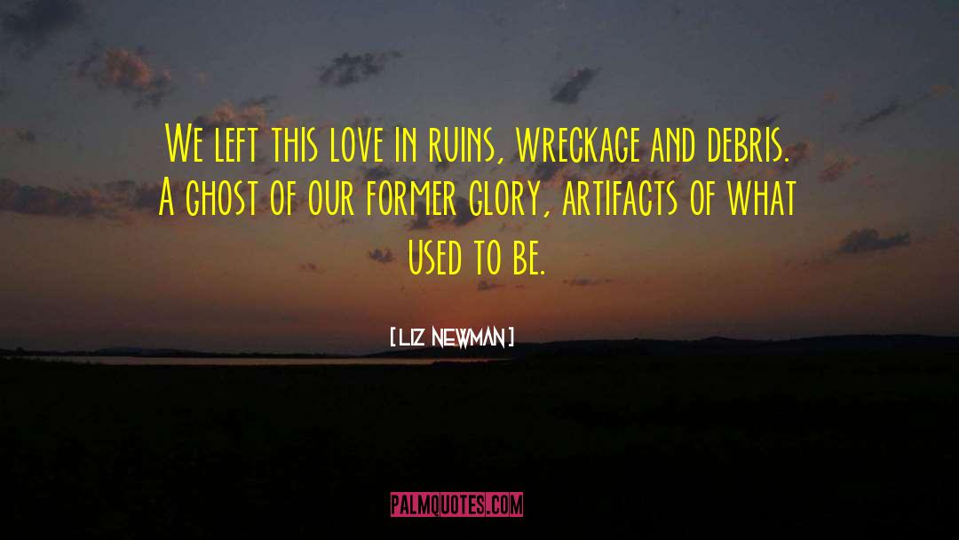 Debris quotes by Liz  Newman