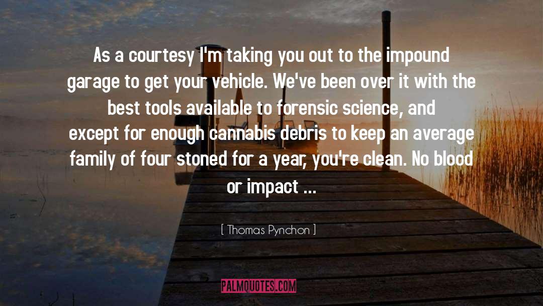 Debris quotes by Thomas Pynchon