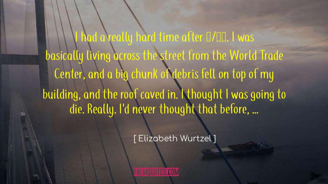 Debris quotes by Elizabeth Wurtzel