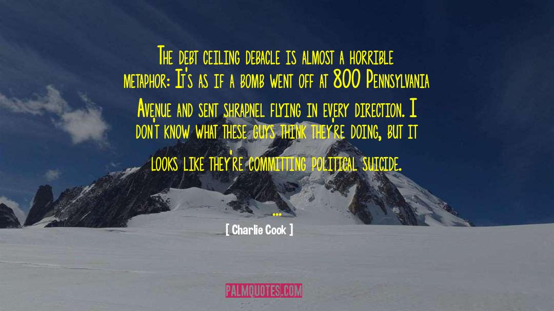 Debt Ceiling quotes by Charlie Cook