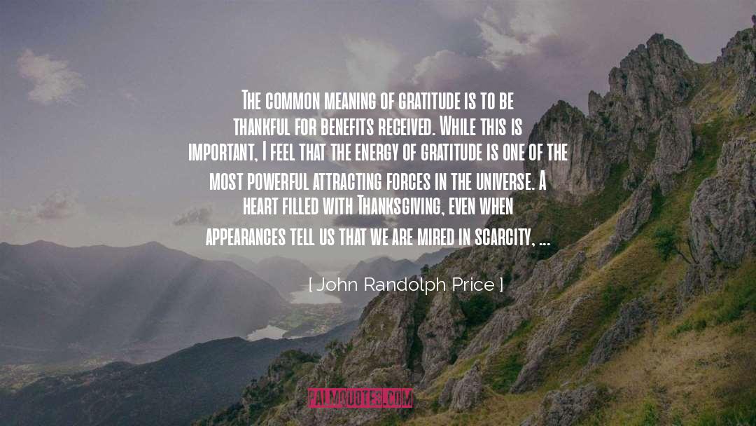 Debt Of Gratitude quotes by John Randolph Price