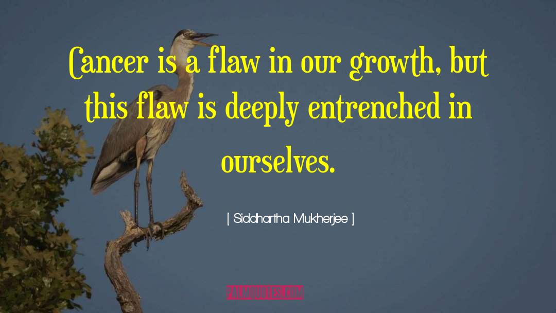 Decadal Growth quotes by Siddhartha Mukherjee