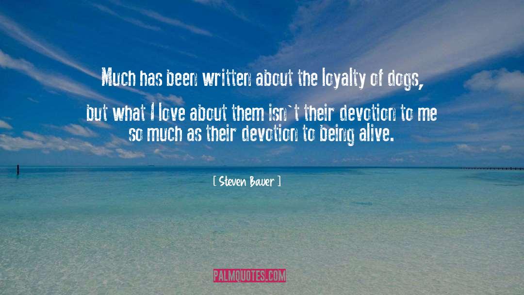Decalaration Of Love quotes by Steven Bauer