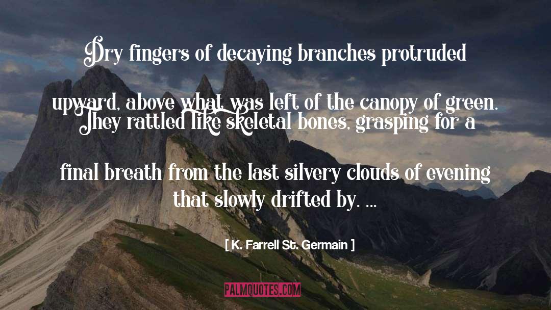 Decaying quotes by K. Farrell St. Germain