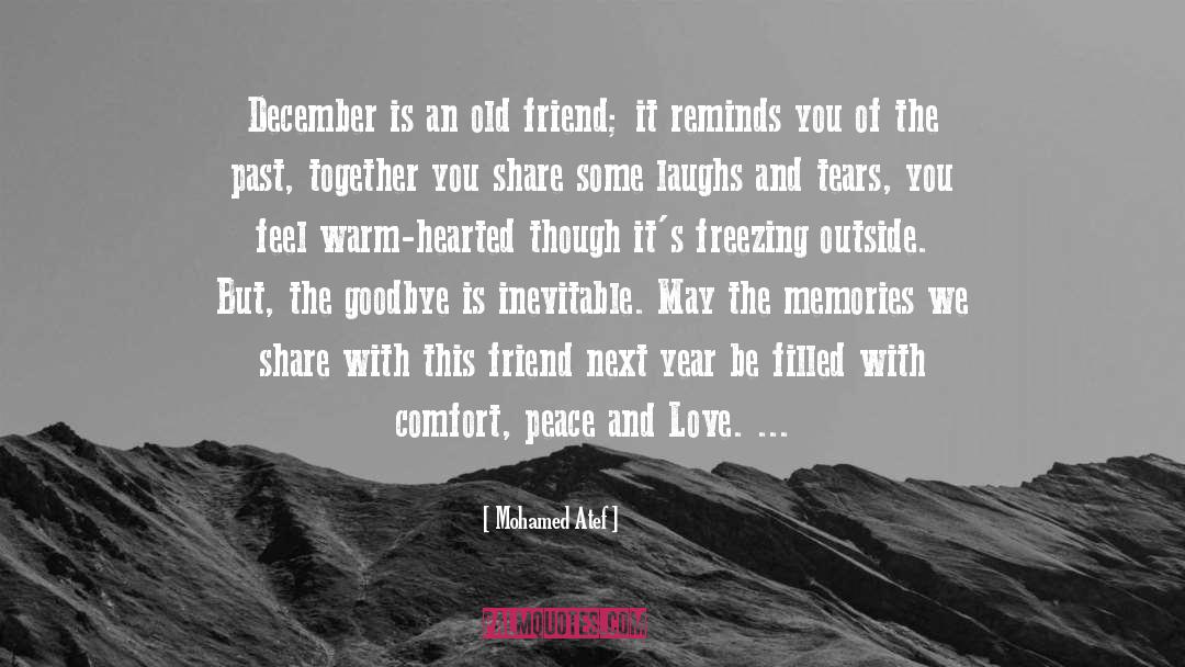 December quotes by Mohamed Atef