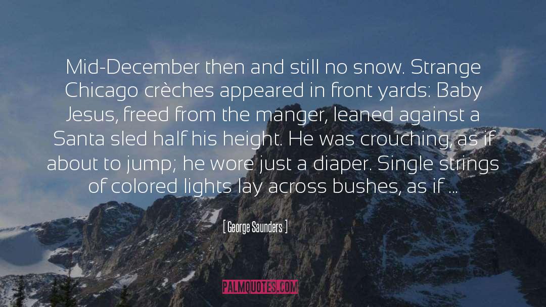 December Wish quotes by George Saunders