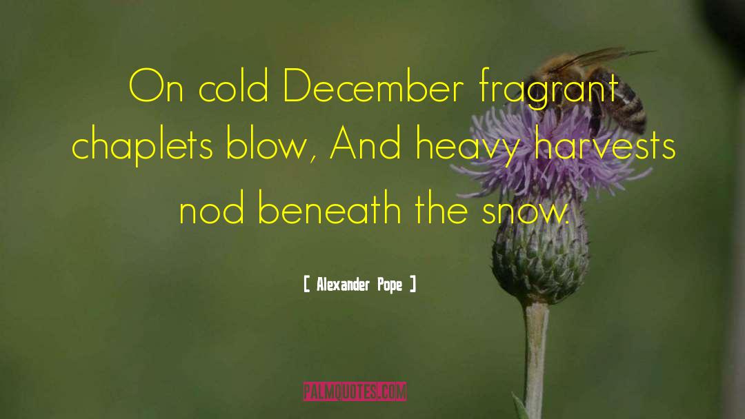 December Wish quotes by Alexander Pope