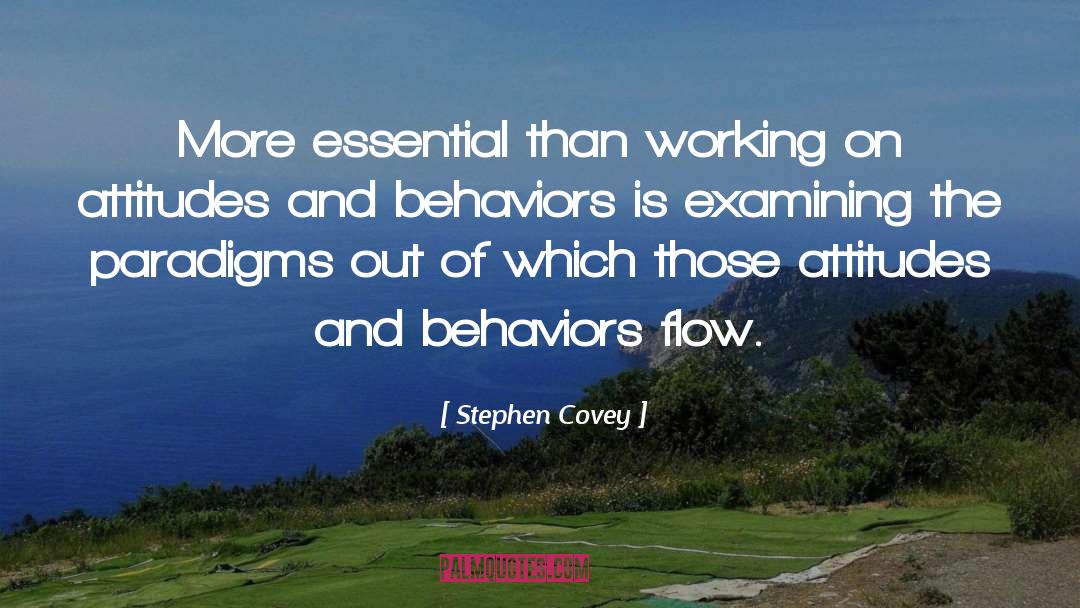 Decent Behavior quotes by Stephen Covey