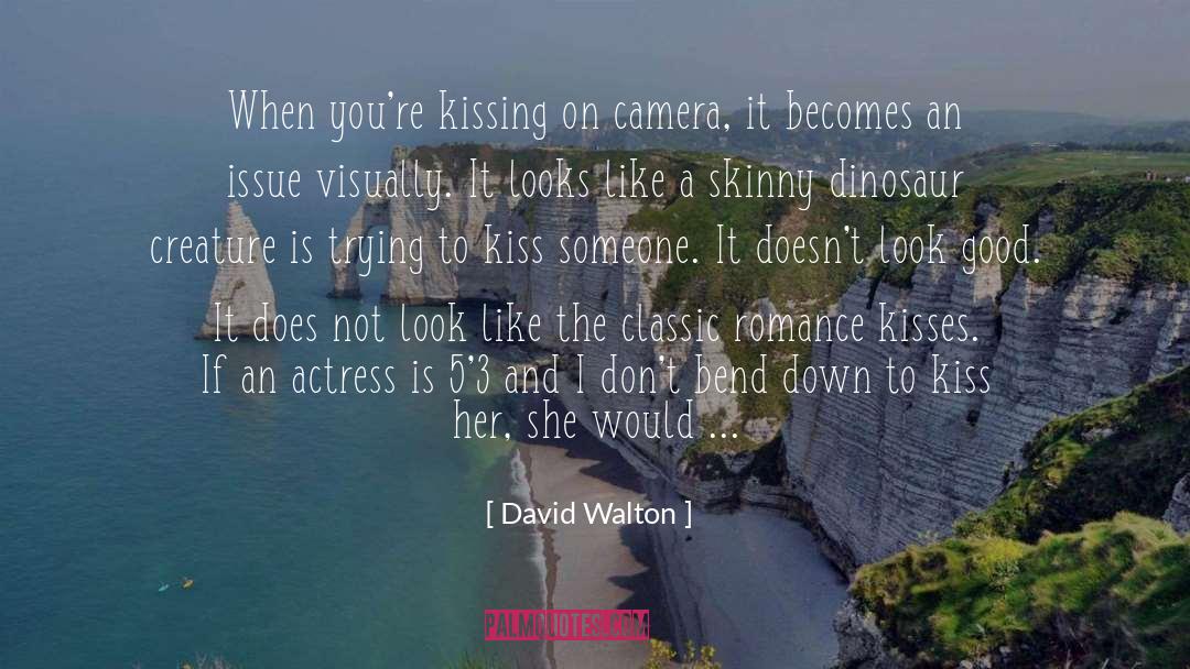 Decent Look quotes by David Walton