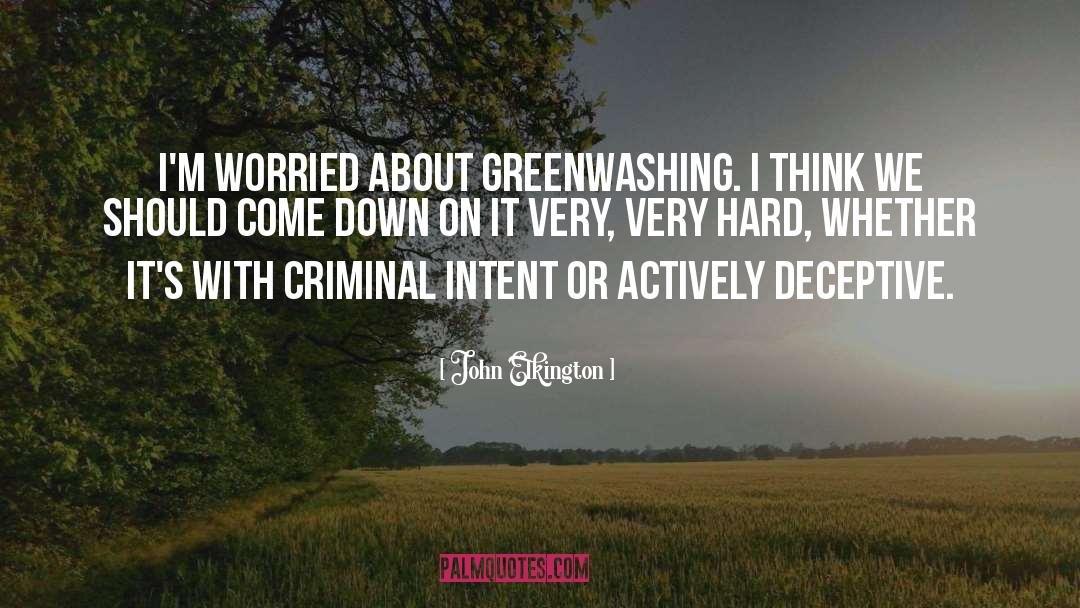 Deceptive quotes by John Elkington