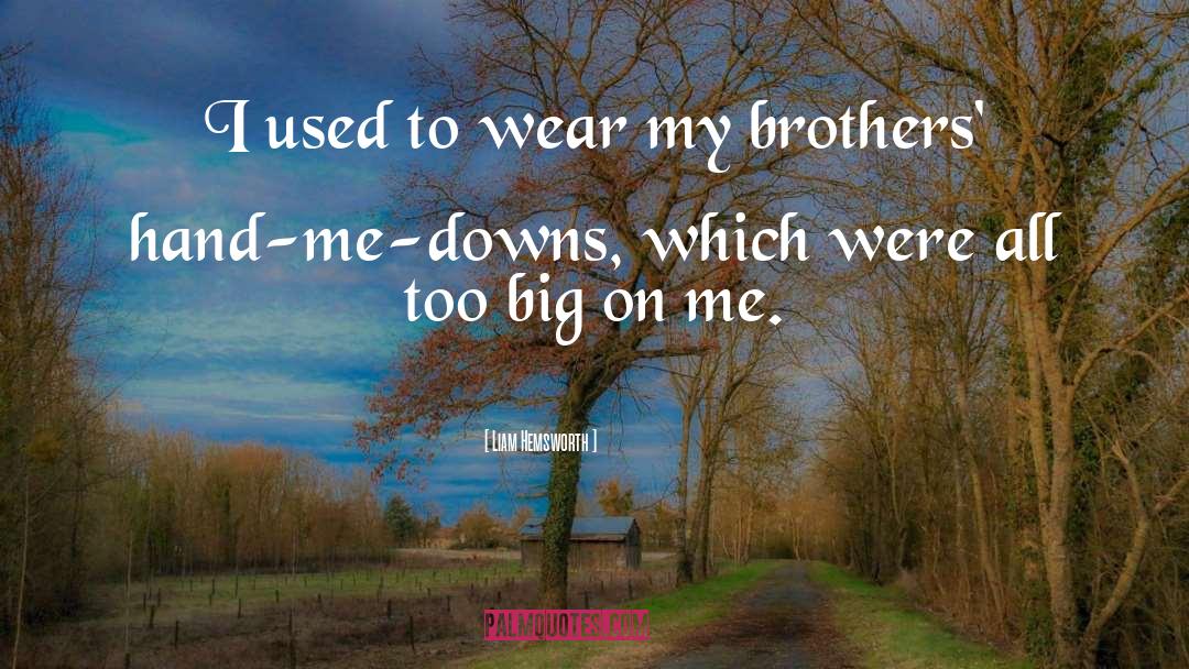 Dechristopher Brothers quotes by Liam Hemsworth