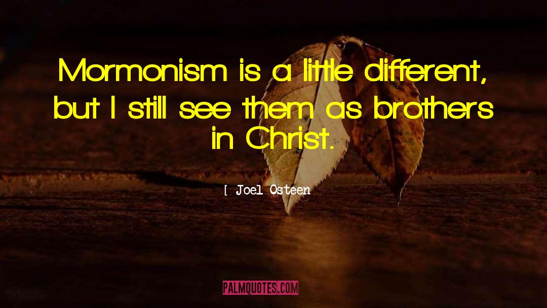 Dechristopher Brothers quotes by Joel Osteen