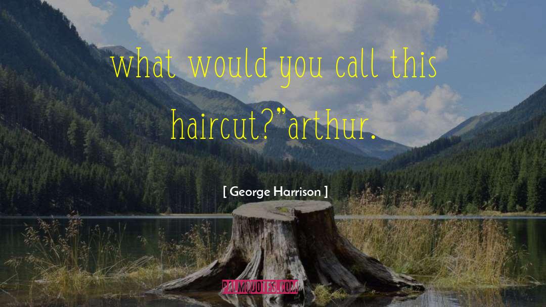 Deciccos Harrison quotes by George Harrison