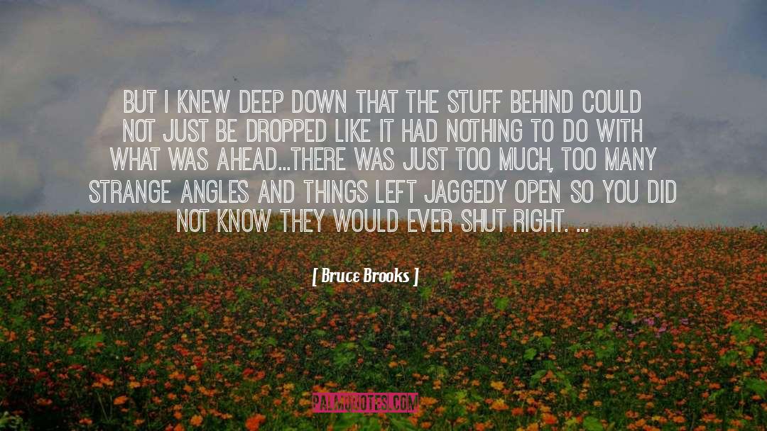 Deciding What To Do quotes by Bruce Brooks