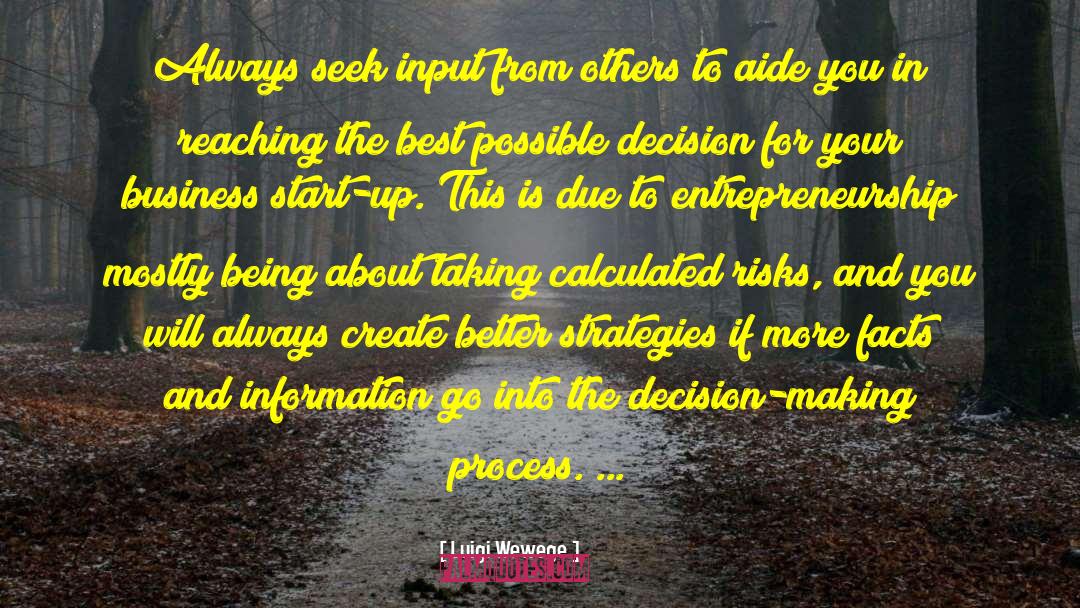 Decision Making Process quotes by Luigi Wewege