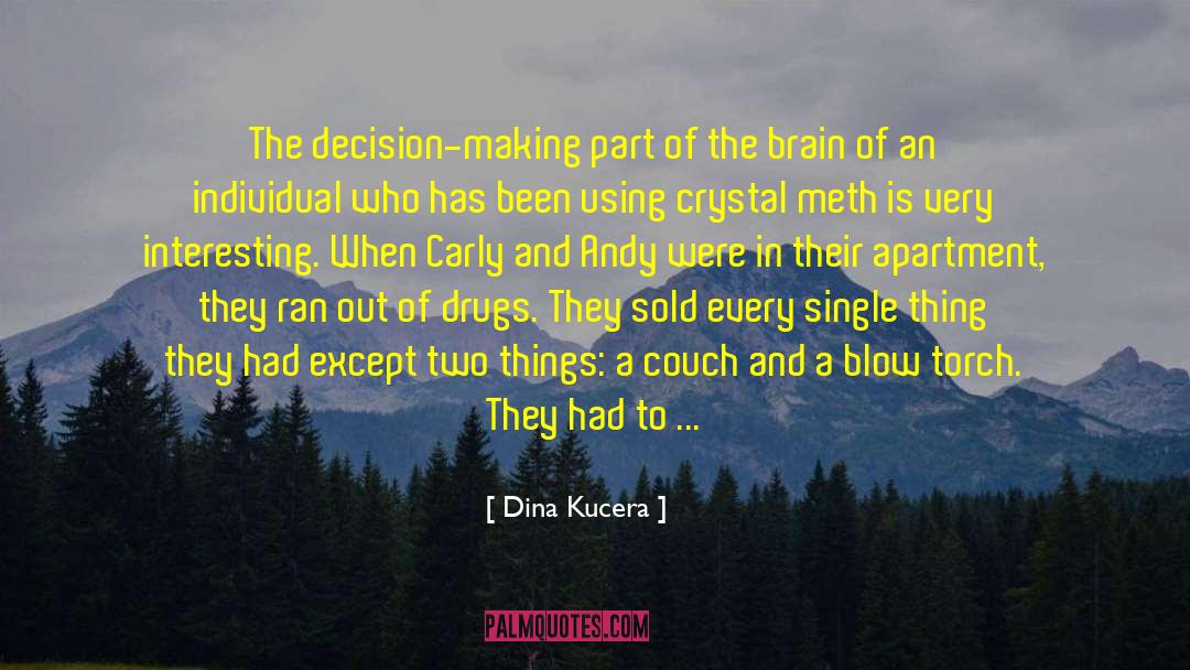 Decision Making Process quotes by Dina Kucera