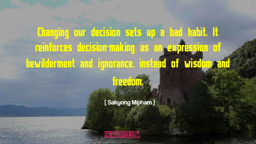 Decision Making quotes by Sakyong Mipham