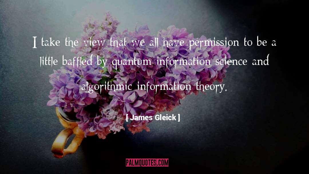 Decision Theory quotes by James Gleick