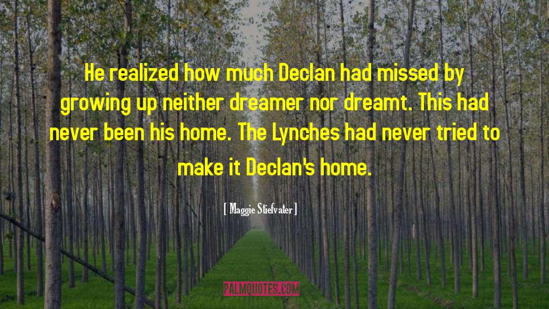 Declan quotes by Maggie Stiefvater