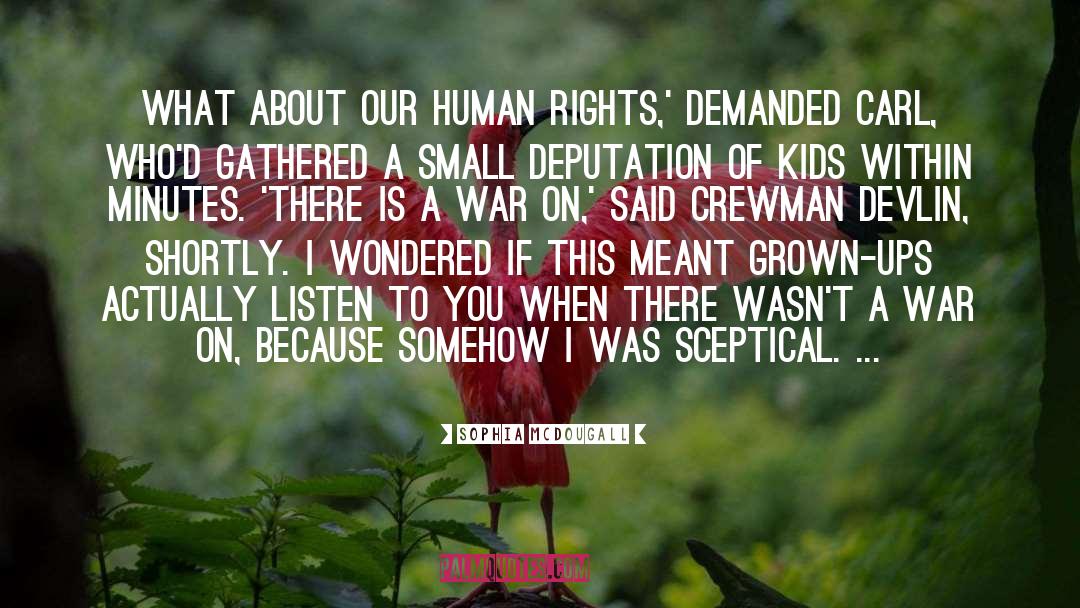 Declaration Of Human Rights quotes by Sophia McDougall