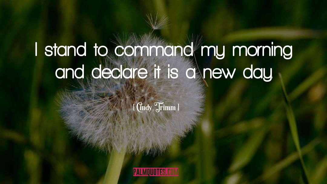 Declare quotes by Cindy Trimm