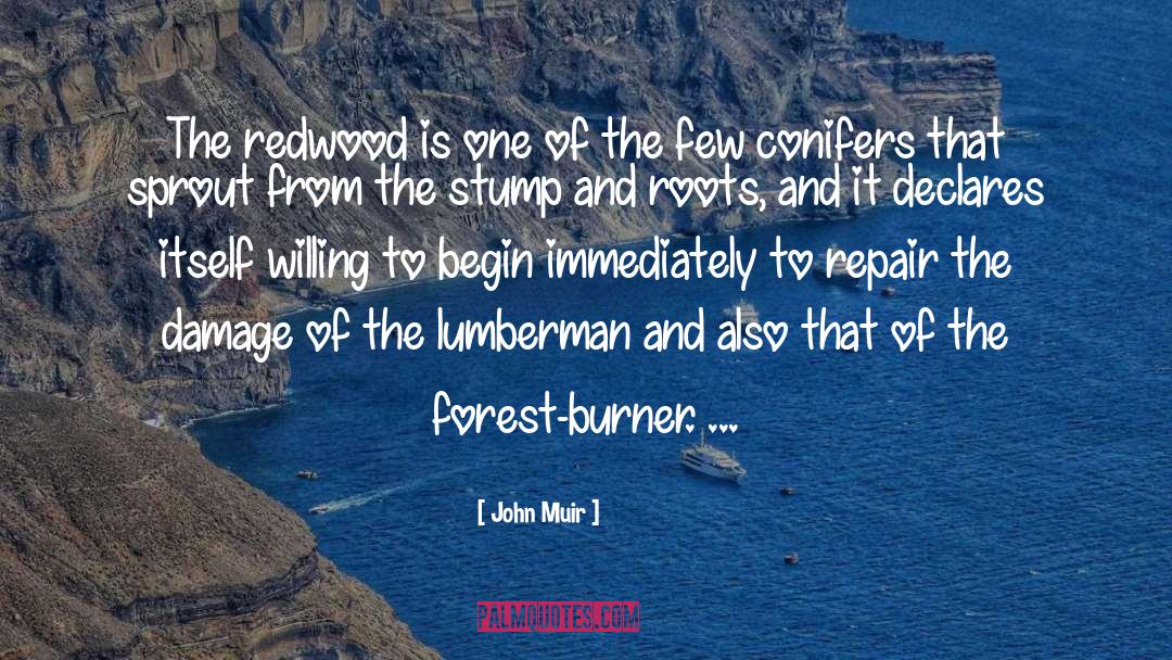 Declares quotes by John Muir