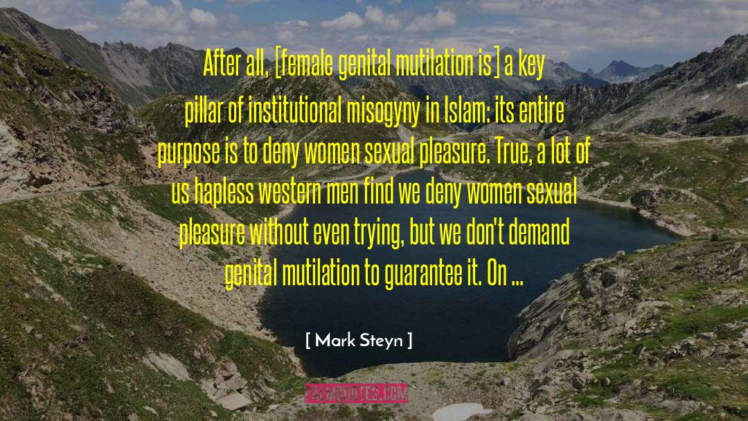 Decline Of Civilization quotes by Mark Steyn