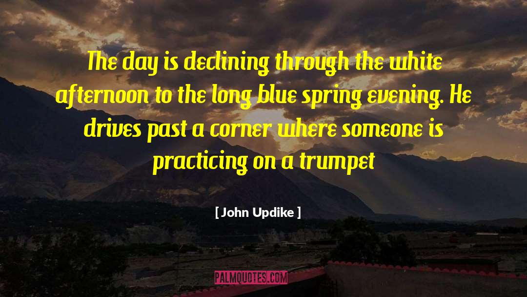 Declining Invitations quotes by John Updike