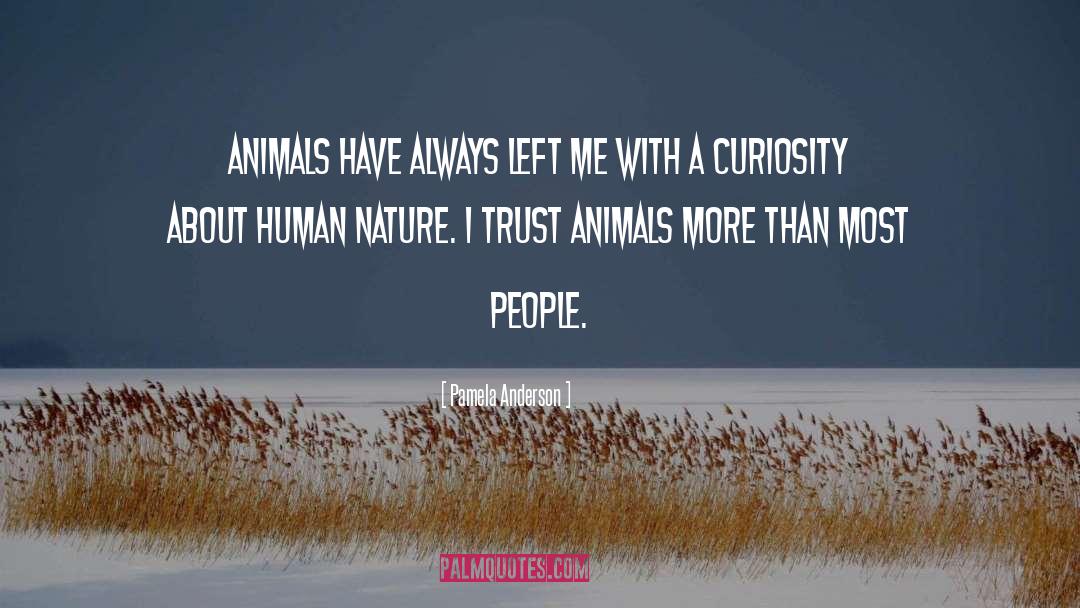 Decomposing Animals quotes by Pamela Anderson