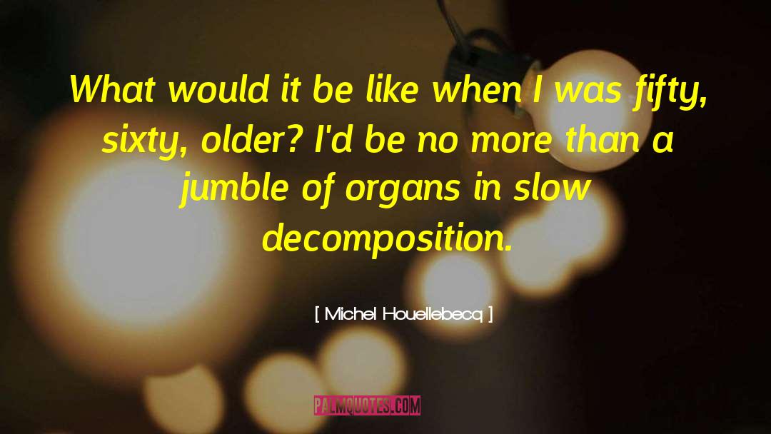Decomposition quotes by Michel Houellebecq