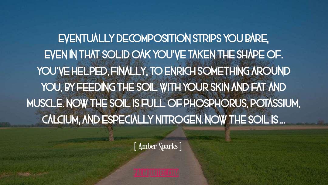 Decomposition quotes by Amber Sparks