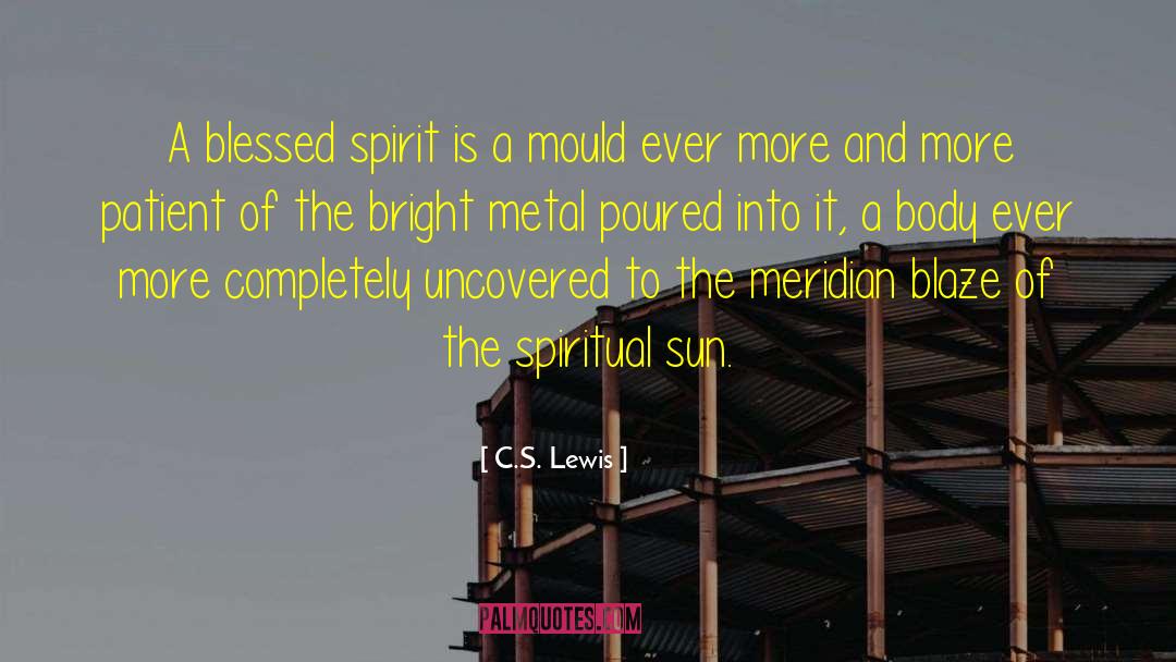Decorative Metal quotes by C.S. Lewis