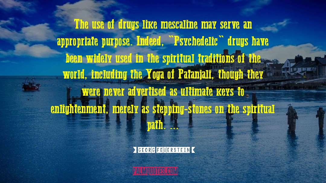 Decriminalization Of Drugs quotes by Georg Feuerstein