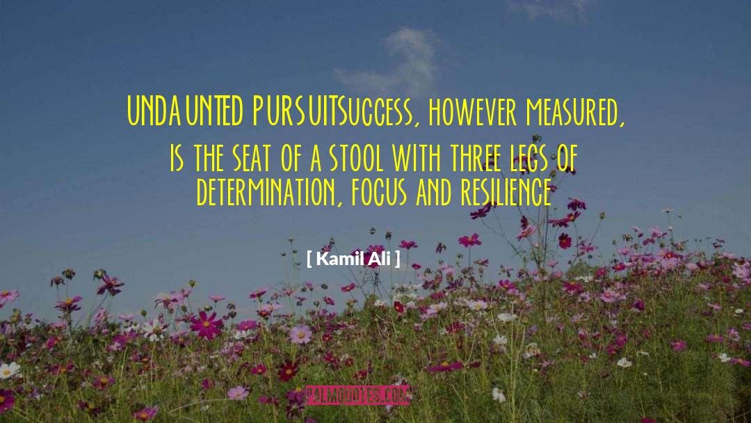 Dedication And Determination quotes by Kamil Ali