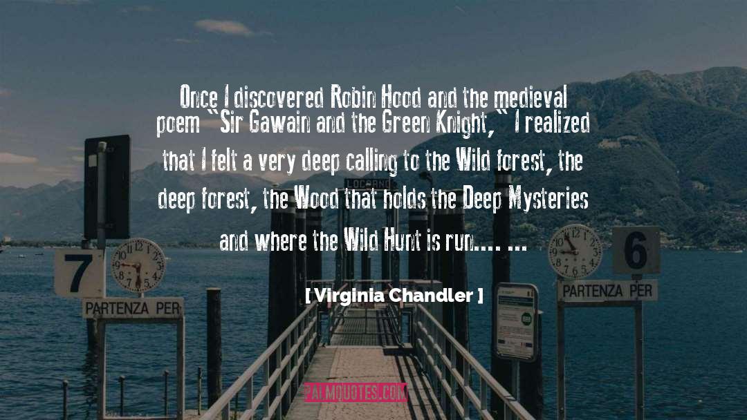 Deep Desire quotes by Virginia Chandler