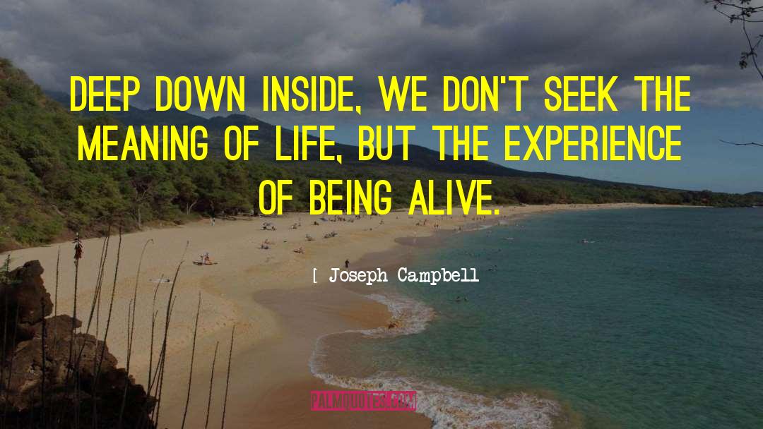 Deep Down quotes by Joseph Campbell