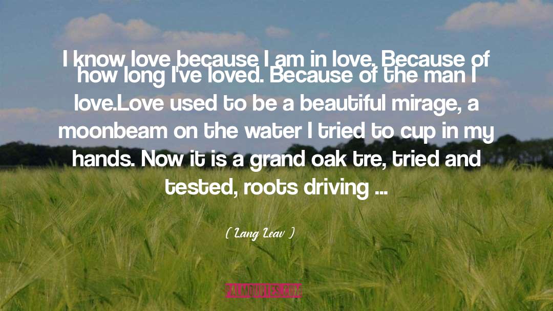 Deep Driving Desire quotes by Lang Leav