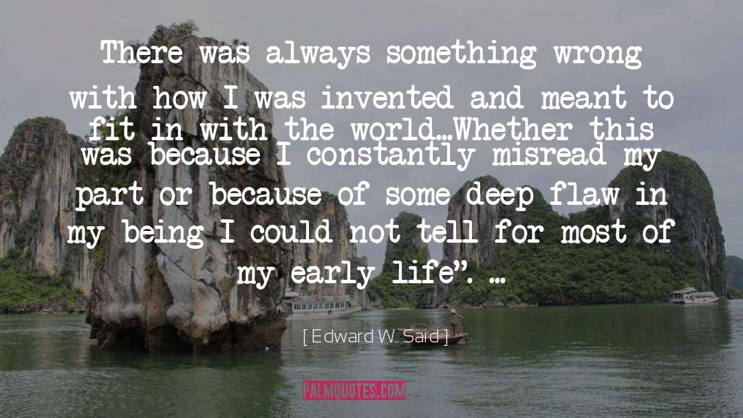 Deep Ecology quotes by Edward W. Said