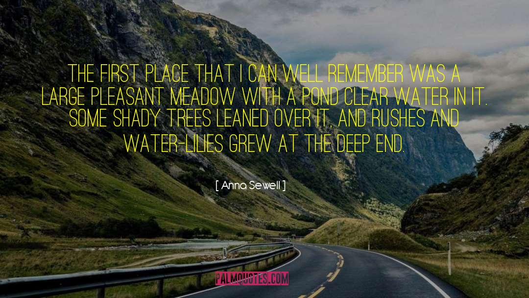 Deep End quotes by Anna Sewell