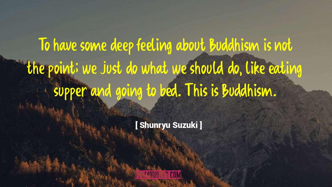 Deep Feeling quotes by Shunryu Suzuki