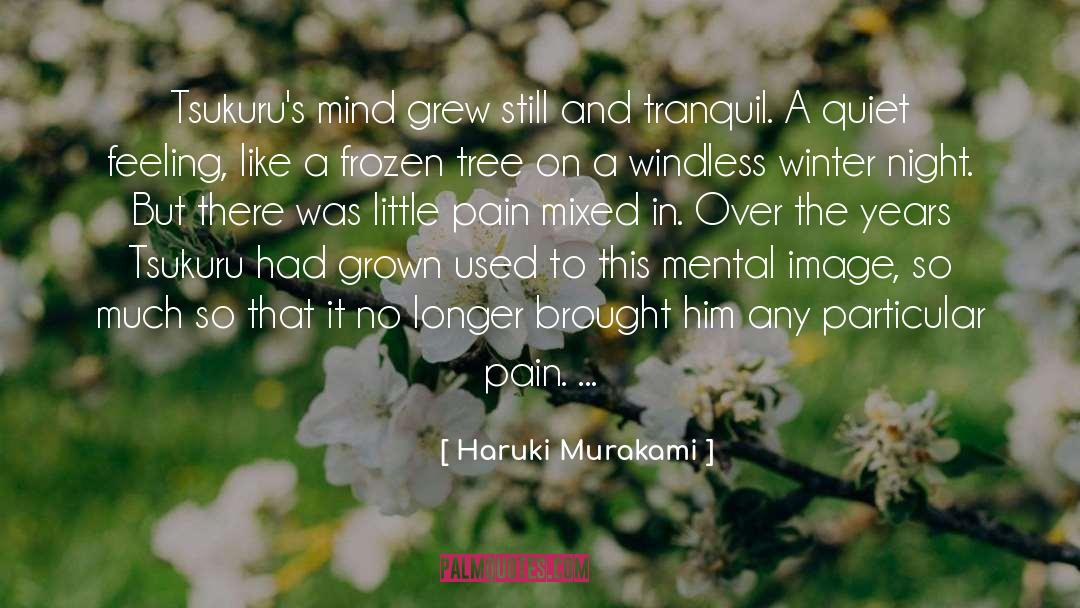 Deep Frozen Winter quotes by Haruki Murakami