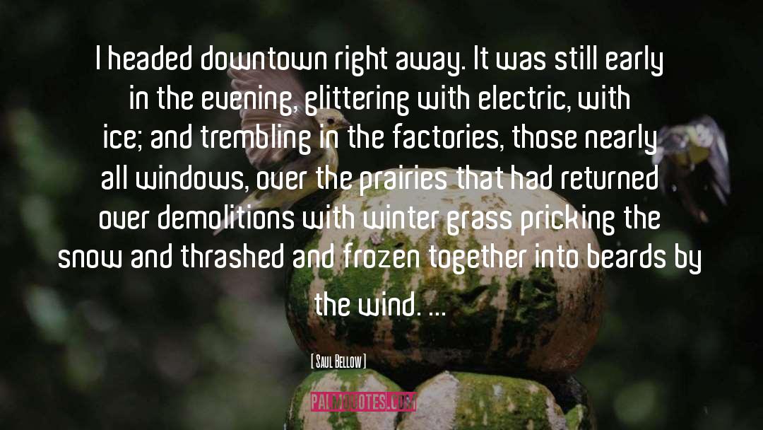 Deep Frozen Winter quotes by Saul Bellow