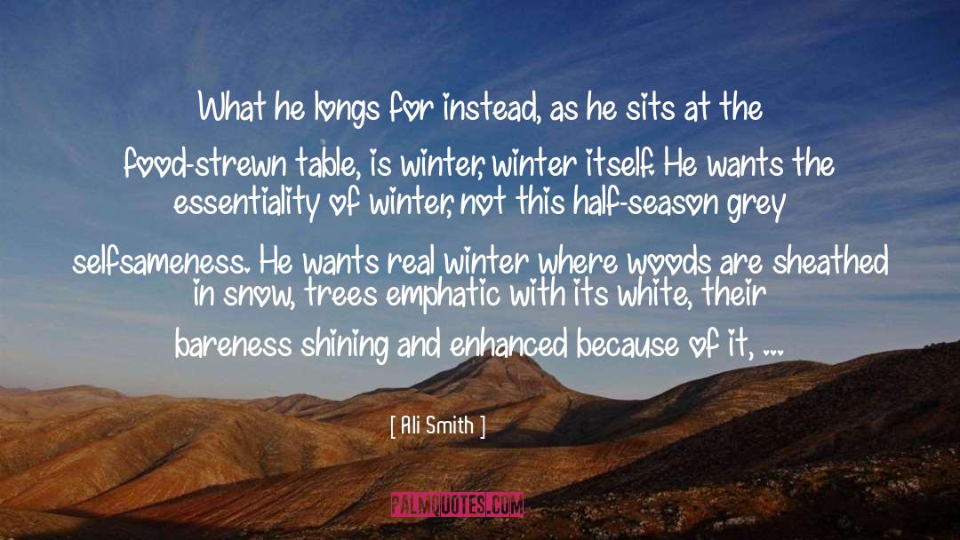 Deep Frozen Winter quotes by Ali Smith
